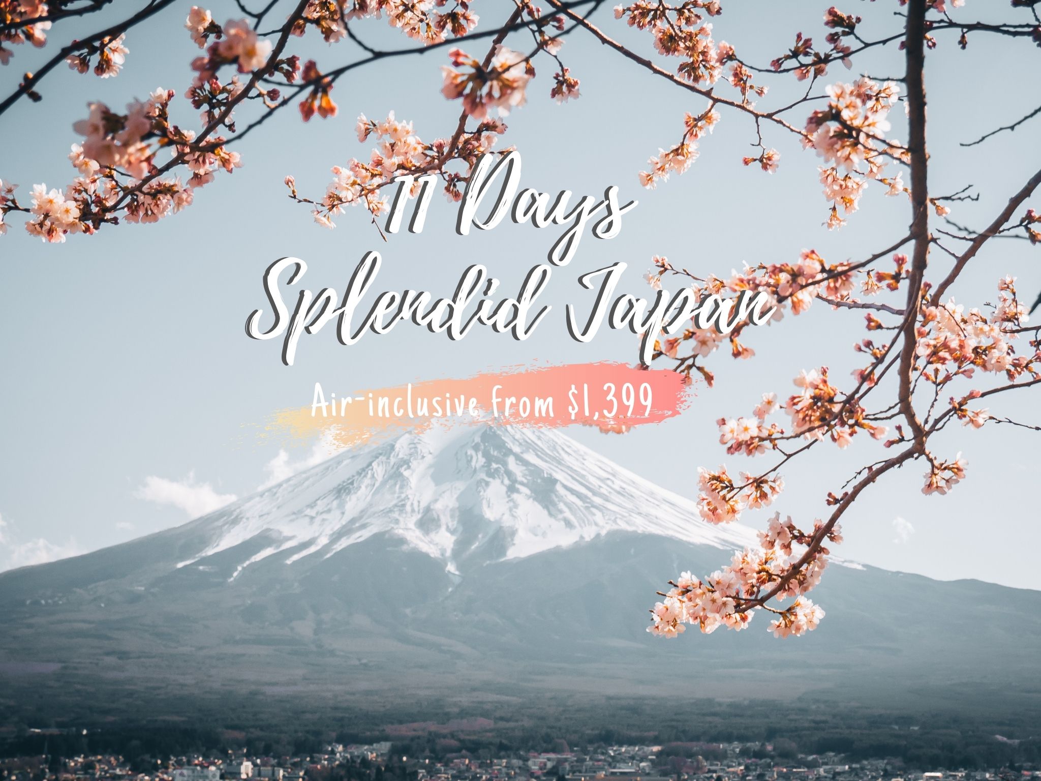 11天日本